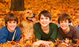 Three young boys and their Golden Retriever sitting amongst a huge pile of fallen leaves during an autumn afternoon.