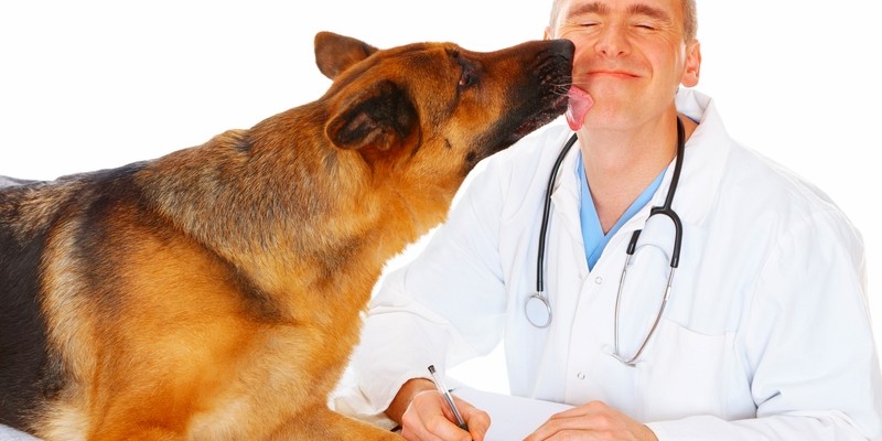 A male veterinarian with a stethoscope around his neck with a white jacket on is getting a kiss from a German Shepherd dog on an exam room table.