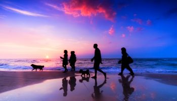 People and their pets are silhouetted against a beautiful late evening sunset while strolling on the beach.