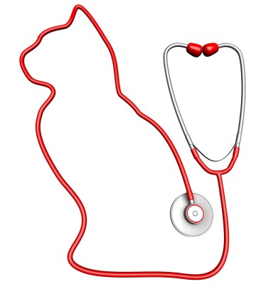 A red stethoscope is formed into the shape of a cat with the ear pieces being the tail.