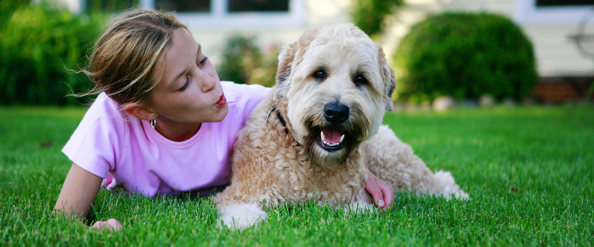 The size of yard for a pet will often determine the size of a pet that can be housed there.