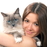 A young brunette woman is holding a Himalayan cat tightly in her arms.