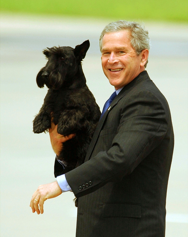 Barney the Scottish Terrier is being carried by U.S. president George W. Bush