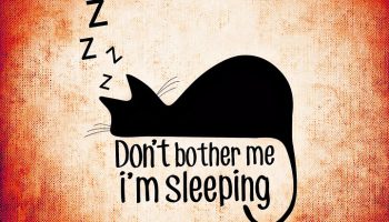 Sneezing cats often sleep more than other cats because they are ill.